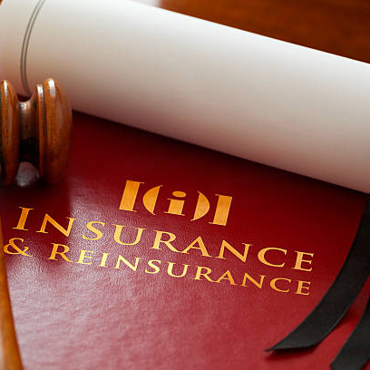Insurance & reinsurance 